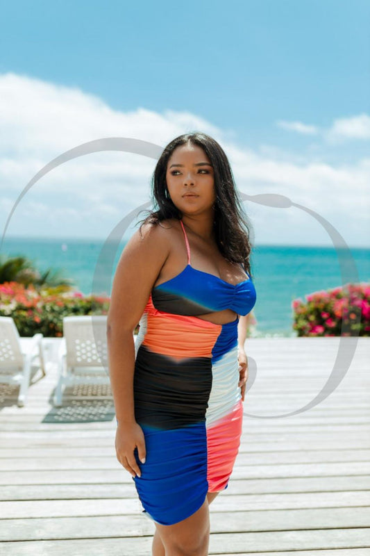 Color Block Ruched Mini Dress
